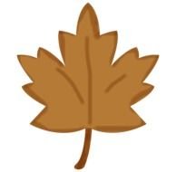 brown maple leaf on a white background