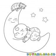 Bebe Ve The Moon Boyama Uyuyan Kedi Coloring Pages
