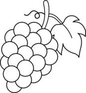 Grapes Black And White Lineart Free