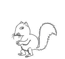 painted white squirrel on a white background