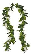 Mokihana Maile Lei drawing