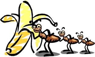 Ants with banana clipart