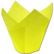 Pin Tulip Coloring Pages