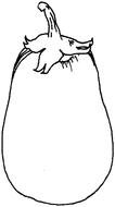 Black And White Eggplant drawing
