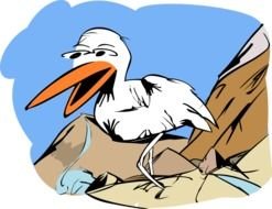 white birds drawing