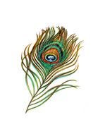 Peacock Feather, Watercolor Painting