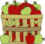 wooden basket with apples