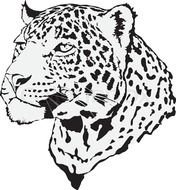 black and white leopard head
