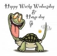 Wednesday Comments Pictures Graphics For Facebook Myspace Page 2