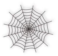 Spiderweb drawing