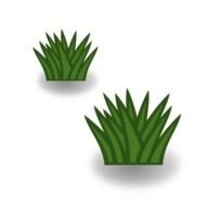 clipart of the green grass