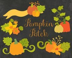 Clipart Floral Pumpkin Fall Bouquet By Wonderdigi