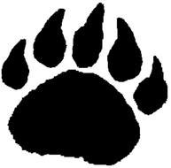 drawn panda footprint