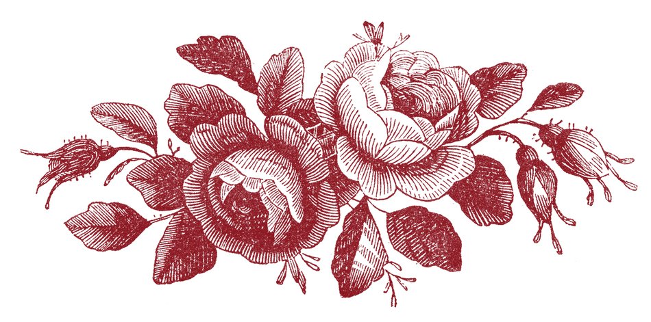 Antique Stock Images drawing