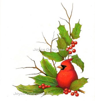 Cardinal Bird Border With