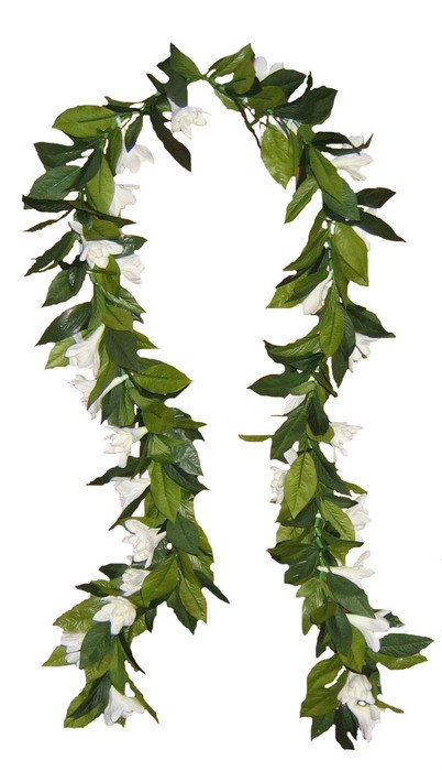 Mokihana Maile Lei drawing