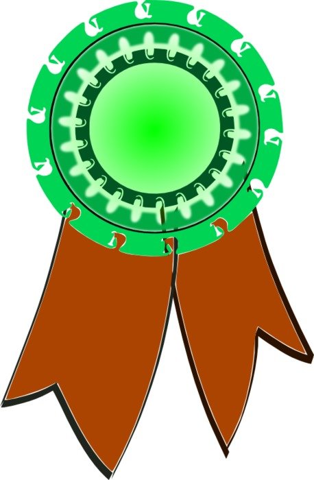 Orange Ribbon Award