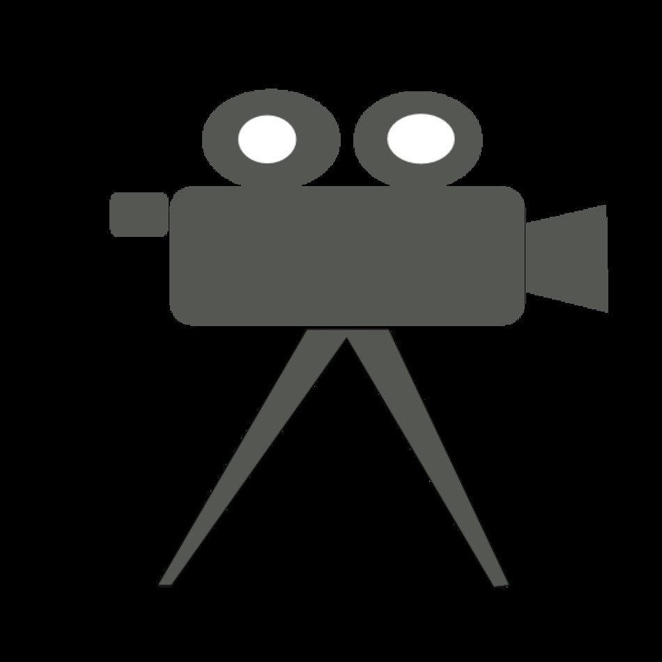 Video Camera Surveillance