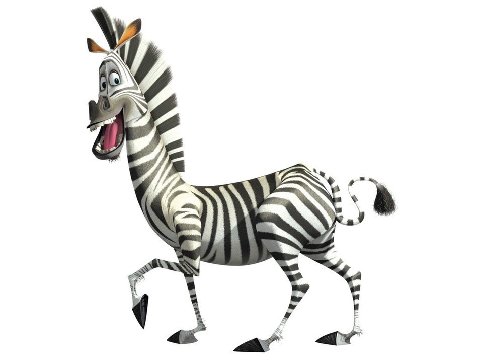 Marty Madagascar drawing