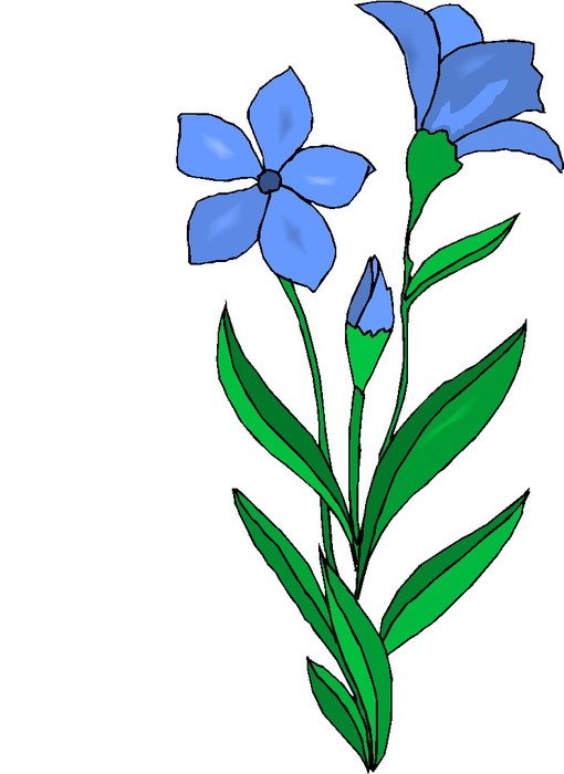 Clipart of blue Plants
