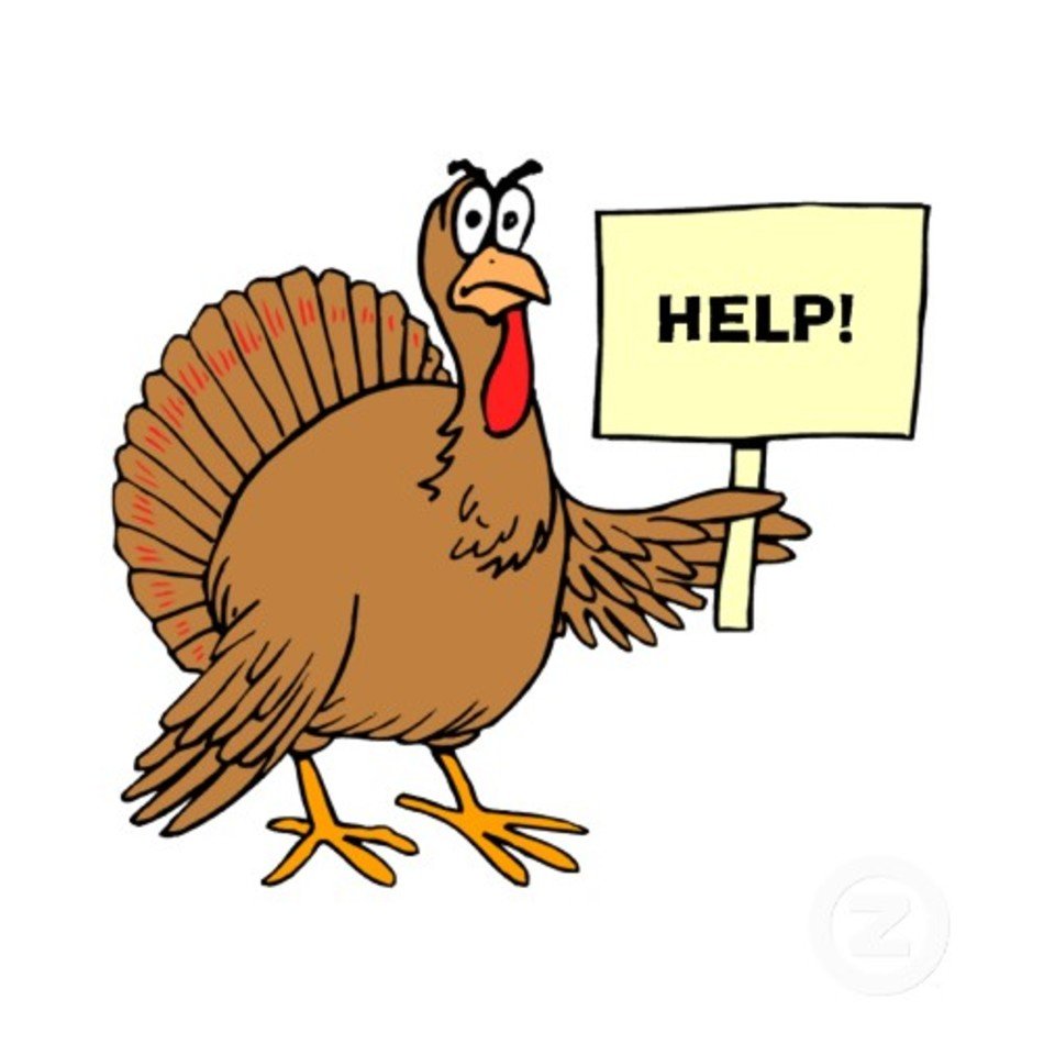 turky help drawing