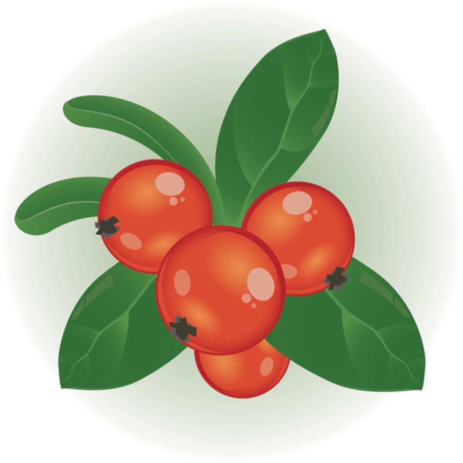 Clip Art Vecto clipart