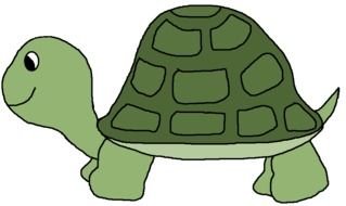 animated green turtle
