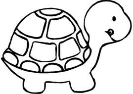 cartoon Turtle, Coloring Page For Kids