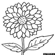 Flower Coloring Pages Color Flowers Online Page 1