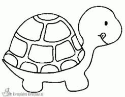 Kleurplaten Schildpad