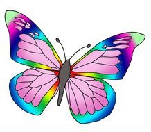 Back &amp;gt Gallery For Rainbow Butterfly