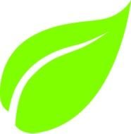 Green bright leaf clipart