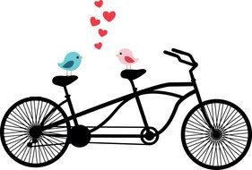 birds in love on a tandem bicycle