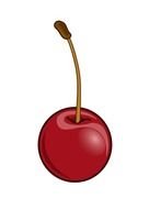 Cherry Image Search Results