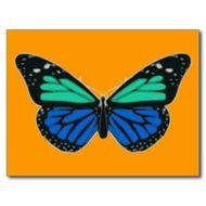 Blue Green Butterfly Postcard Zazzle