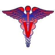 Veterinary Caduceus Medical Symbol Clip