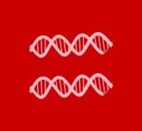 Dna Black White Line Art Twitter Red Equal I Support Love Marriage