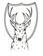 black and white deer