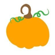 drawing of an orange pumpkin on a white background