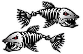 drawn fish skeletons