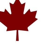 Burgundy Maple Leaf Vector Online Royalty