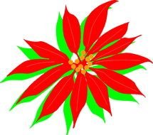 Plantas De Navidad Drawing