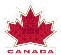 Use The Logo From Their Alternate Jerseys As Primary Jersey