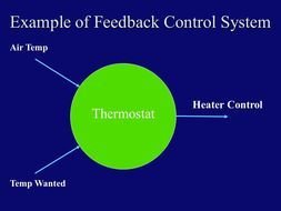 Feedback System Example