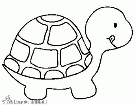 Kleurplaten Schildpad
