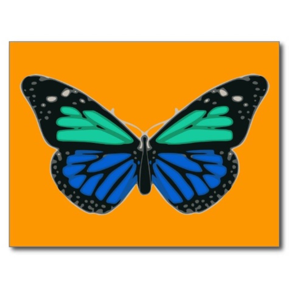 Blue Green Butterfly Postcard Zazzle