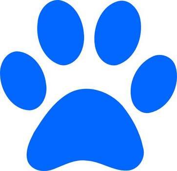 Blue Gold Paw Print Home Improvement Gallery