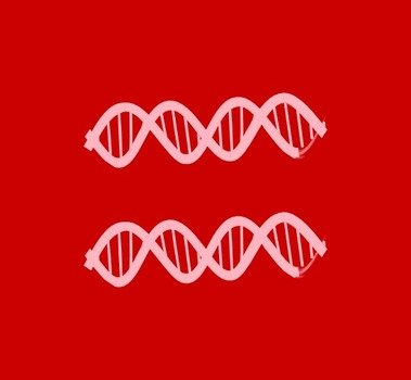 Dna Black White Line Art Twitter Red Equal I Support Love Marriage