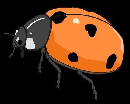 clipart of the ladybug