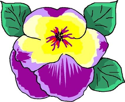 Flower Purple Yellow Free Microsoft